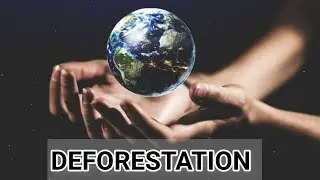 CONSERVATION OF PLANTS AND ANIMALS/DEFORESTATION AND ITS EFFECTS