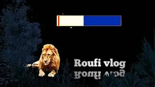 Roufitech