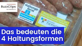Tierwohl: Das bedeuten die vier Haltungsformen