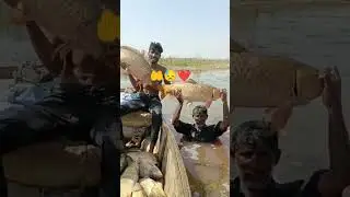 #sutlejflood #floodinpakistan