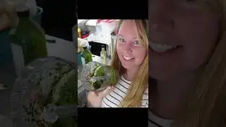 Приготовление карибской зелени для ребрышек барбекю (изучено в Тринидаде!)