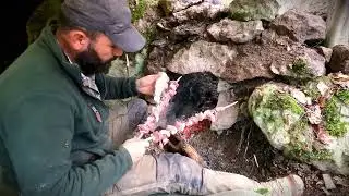 Winter Camp in the Wilderness, Shelter by Hand with My Dog in Extreme Cold