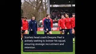 Wales Rugby Highlights: Morgan's Fans XV and Scarlets' Recruitment Plans