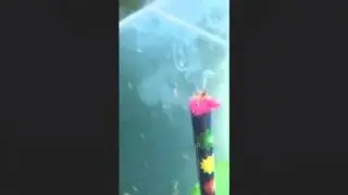 Aktuelle 20 Schuss R&ouml;misches Licht [Weco Feuerwerk]
