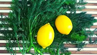 Очистите почки, печень и легкие! Все бактерии вылетают из организма