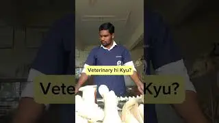 Veterinary hi kyu ? || @abhijeetbeliever #shorts #shortvideo