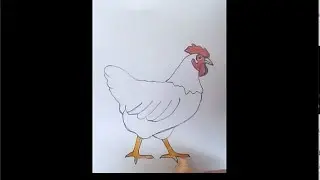 Easy Hen Drawing #Shorts @artforyou1 @ashrafuldrawingbook