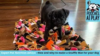 Snuffle mats for dogs - Expert dog training tips