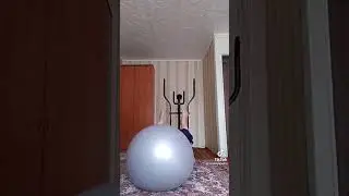 Netyry Tata cho hi chi cha