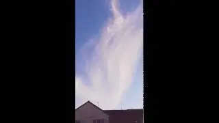 FAIRY TAIL CLOUD