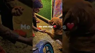 #savepets #animals #shortvideo #streetdog