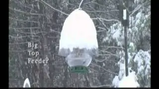 Droll Yankees line of Bird Feeders