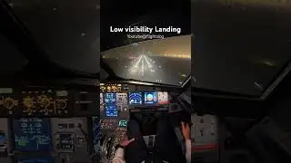 Low visibility landing #airbus #aviation