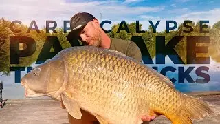 DAS PAYLAKE ABC: Tipps & Tricks f&uuml;r Karpfenangler