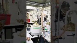 Essential oil extraction process