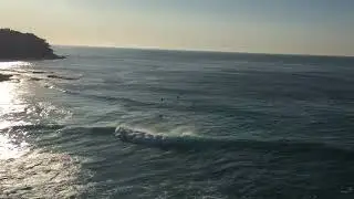 Tamarama Surf Check Thursday August 8th 2024 7:45am
