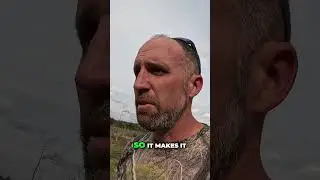 Arkansas Turkey Crisis: Why Hunting's Tougher Than Ever!