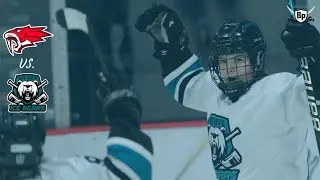 HS Girls Hockey: Chippewa Falls vs. Bay Area - NEW Sports Radio VIDEO
