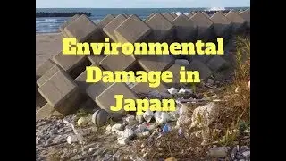 Environmental Damage in Japan - Concrete Pouring Business - Dogs and Demons Alex Kerr