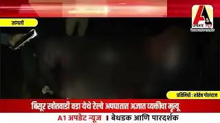Unknown person dies in train accident at Bisur Khotwadi Wada