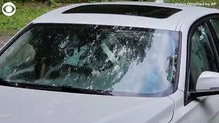 Bears get stuck in car outside home in Connecticut