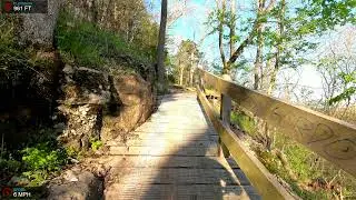 Sally - Blowing Springs Trail System, Bentonville, AR