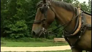 George Washington's Farm