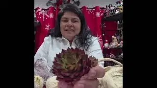 UNBOXING DE MI REGALO DE MAVIDAD 