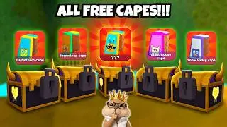 ALL FREE CAPES In Super Bear Adventure Gameplay Walkthrough