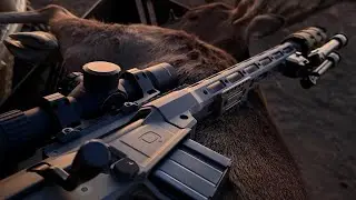 Meat for the Freezer!