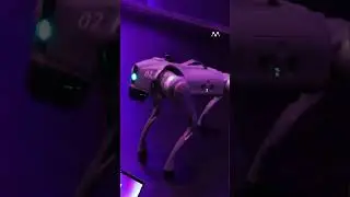 MCBEE&rsquo;s Robot Dog &ndash; The Future of Companionship?