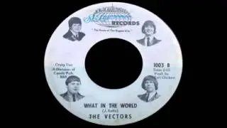 The Vectors - What In The World