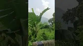Replenish Your Mind and Muscle with Nature #shortsfeed #shorts #trending #youtubeshorts #shortvideo