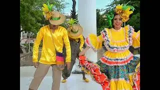 CAIMAN cienaguero - ANA OFICIAL HD