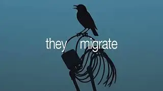 bones