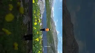 Offbeat kashmir #youtubeshorts #travel #kashmiradventure #offbeat