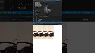 Image Hover Effect in a Second | CSS Tips
