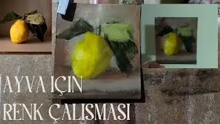 AYVA HANGİ RENKLERDEN OLUŞUR VE NASIL BOYANMALIDIR