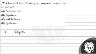 Which one of the following has poiypioidy nucleus in an anther? (A) Endothecium (B) Tapetum (C) ...
