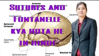 Suture and Fontanelle in hindi #edukatta #anatomy #neet #nursing #paramedical #12th