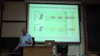 8. The immune system of jawed vertebrates: III. Mammals | Thomas Boehm | Лекториум