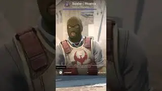 Agents in CS2 Soldier | Phoenix