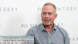 Minimal Evidence of Antibiotic Resistance in Swine with Dr. Joel Nerem