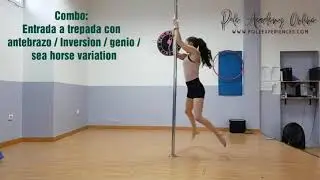 #26 pole dance combo intermedio