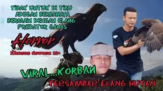 Che DM soaring part 3 (changeable hawk eagle, dark morph)#burungpredator #eagle