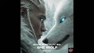 David Guetta - She Wolf (Falling To Pieces) ft. Sia (Mashup)