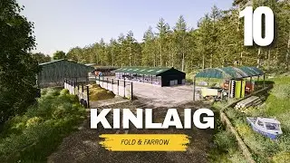 Шерсть, животноводство и будущая прибыль в Шотландском высокогорье | FS25 Kinlaig Timelapse, эпиз...