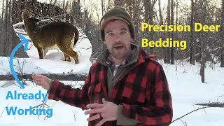 Как создать места для лежки оленей