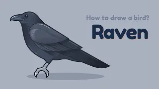 How to draw a bird - Raven? Easy and simple drawing | Animal character design tutorial