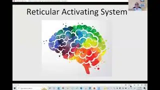 The Reticular Activating System (Your Internal GPS)